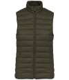 NS6006 Native Spirit Ladies Light Recycled Bodywarmer organic khaki colour image